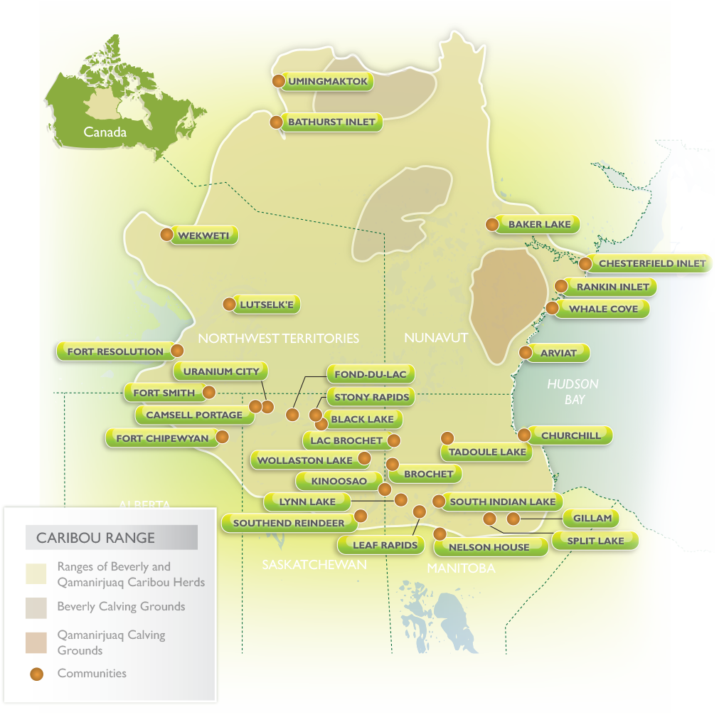 Beverly and Qamanirjuaq Caribou Ranges