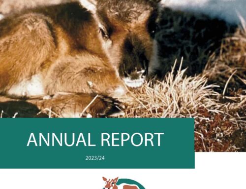 BQCMB 2022-23 Annual Report