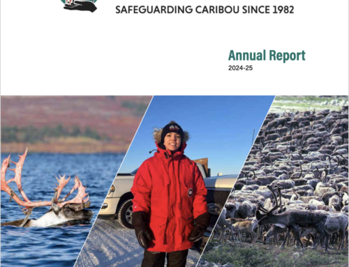 BQCMB 2024-2025 Annual Report