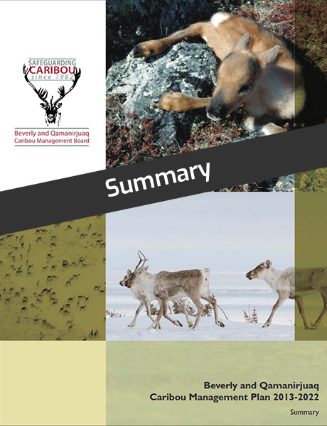 Beverly and Qamanirjuaq Caribou Management Plan 2013-2022 | Summary