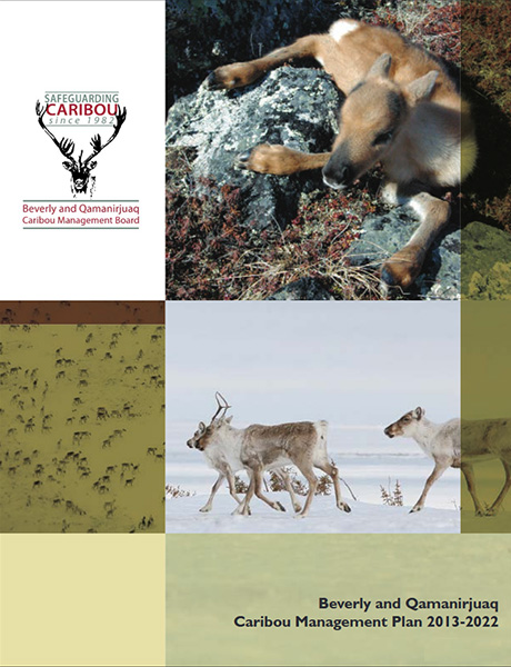 Beverly and Qamanirjuaq Caribou Management Plan 2013-2022 | Detailed