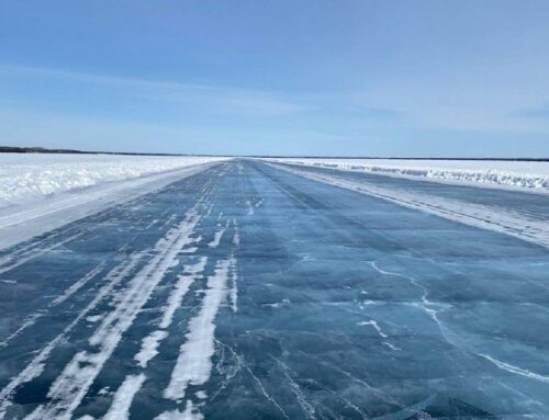 Caribou News in Brief – May, 2025