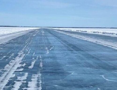 Caribou News in Brief – May, 2025